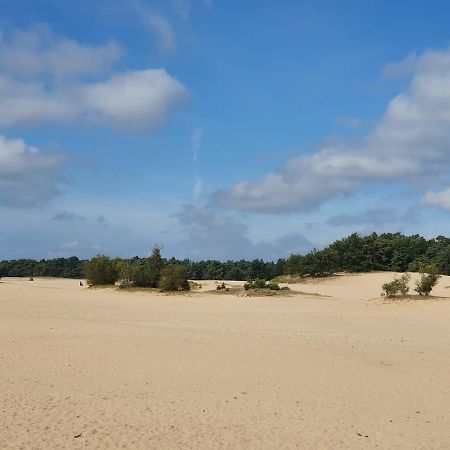 Chalet 11, In Het Bos Doornspijk 외부 사진