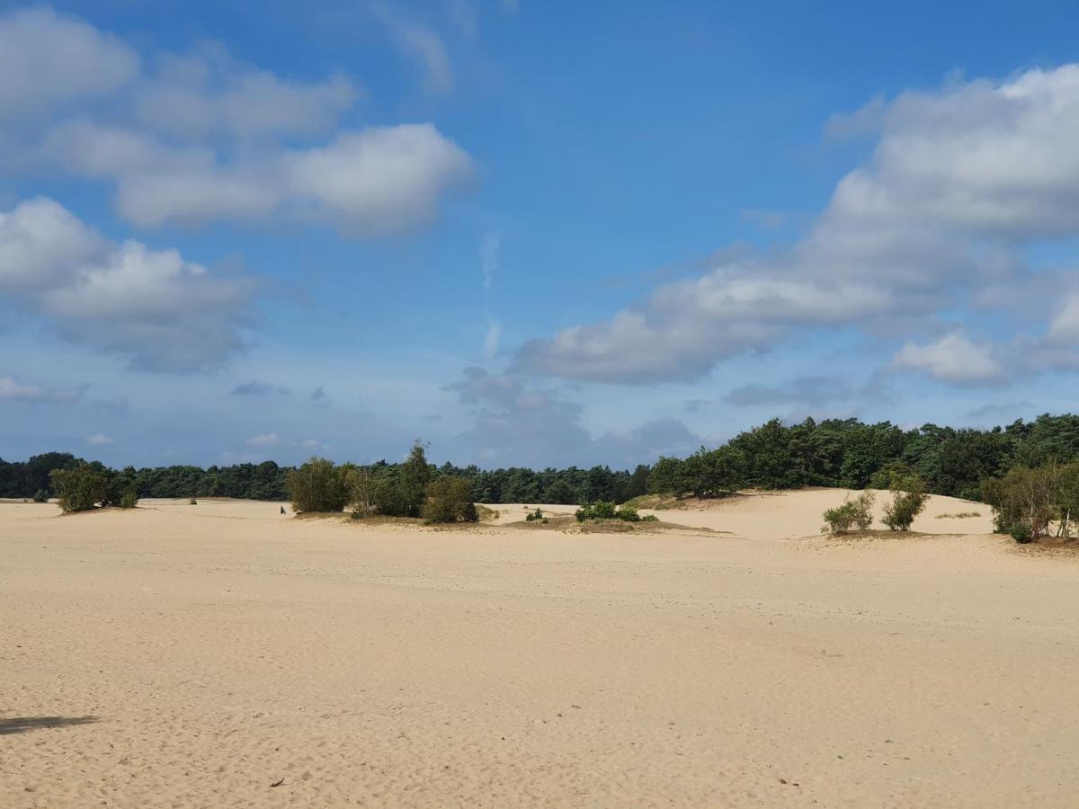 Chalet 11, In Het Bos Doornspijk 외부 사진